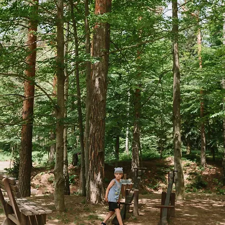 Lejlighed Novak - Divcigora *