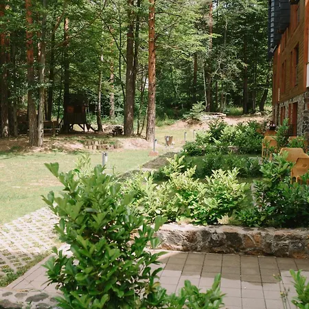 Apartament Novak - Divcigora